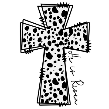 Dalmatian Cross